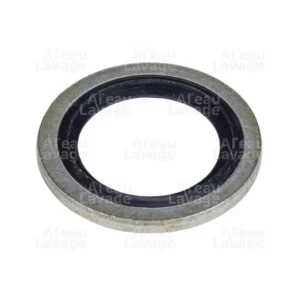 Lot 10 bagues BS gaz 1/4