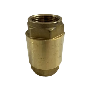 Clapet anti retour Laiton Europa 1 pouce